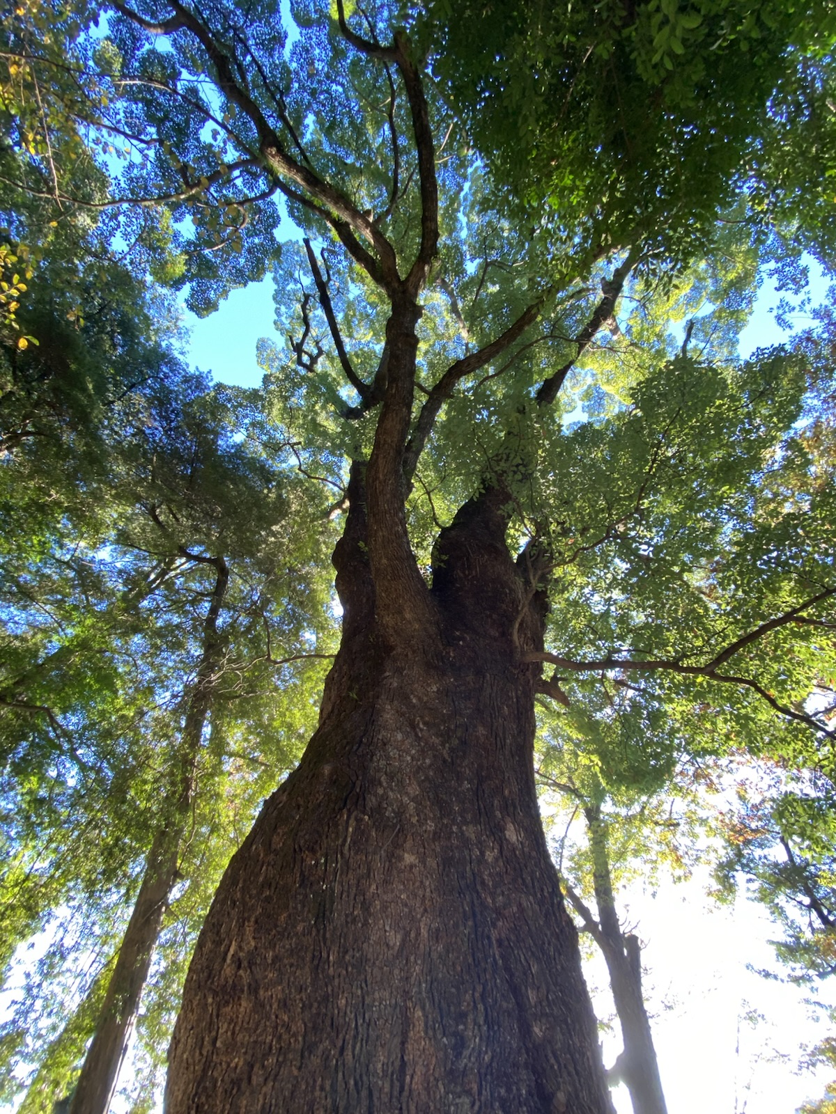 地球環境との繋がり